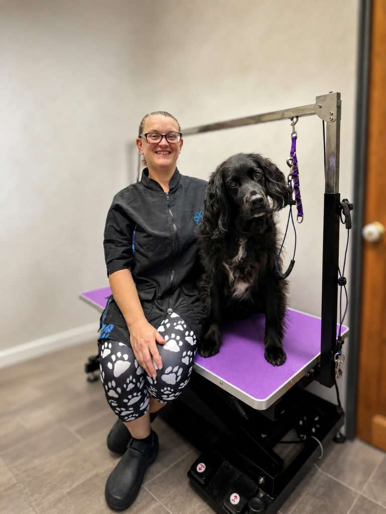 Theresa, owner of Bark ‘n’ Bubbles Spa, with a dog in her professional grooming salon in Callington, Cornwall.